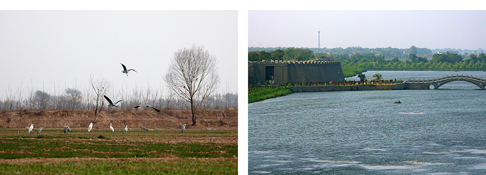 918.com(�й���)�ٷ���վ