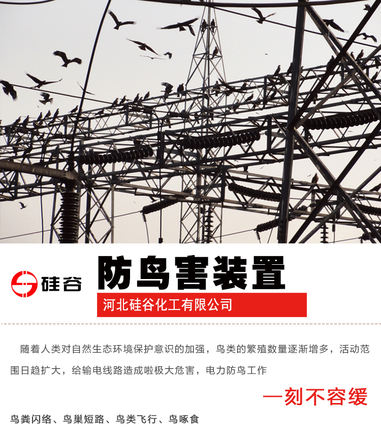 918.com(�й���)�ٷ���վ