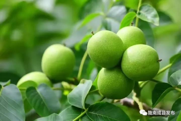 918.com(�й���)�ٷ���վ