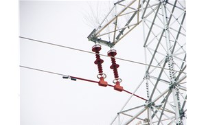 ��Ե����Ϊ��������Ҫ��������������