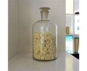 ���ڽ���