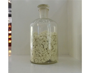 ������ά